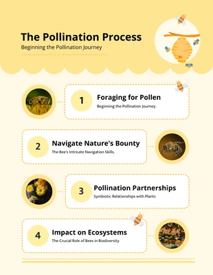 Free  Template: Pollination Process Bee Infographic Template