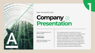 Free  Template: Simple Company Presentation Template