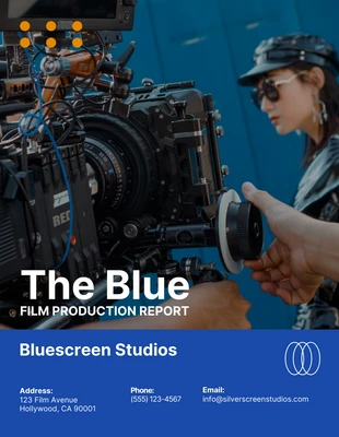 business  Template: Film Production Report Template