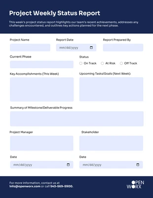 Free interactive Template: Blank Project Weekly Status Report Template