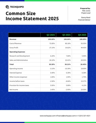 premium  Template: Financial Summary Report Template