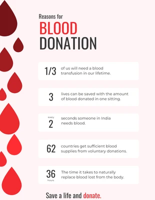 premium  Template: Reasons for Donating Infographic Template