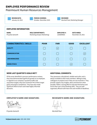 premium interactive Template: Sample Performance Review Template