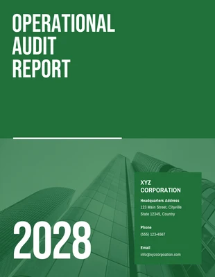 Free  Template: Operational Audit Report Template