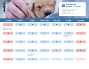 premium  Template: Vet Clinic Work Calendar