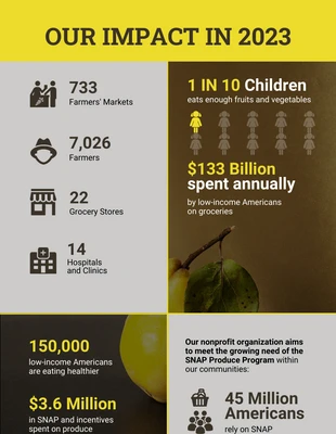 premium  Template: Nonprofit Nutrition Impact Report Example Template