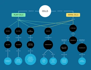 Free  Template: Animal and Human Cells Biology Concept Map Template