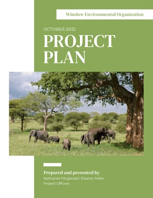 Free  Template: Environmental Project Plan Template