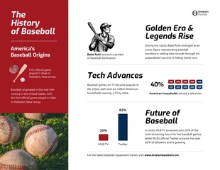 business  Template: History of Baseball Infographic Template