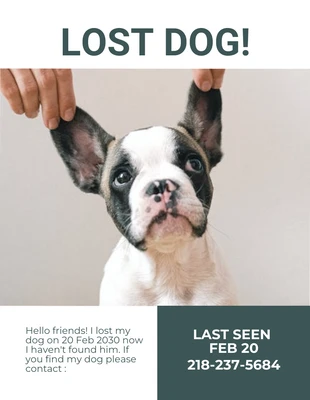 Free  Template: Lost Dog Flyer Template