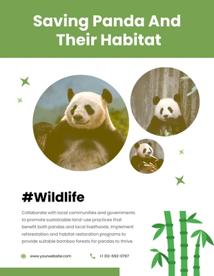 Free  Template: Wildlife Protection Saving Panda Flyer Template