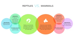 Free  Template: Reptiles vs Mammals Animal Comparison Chart Infographic Template