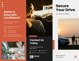 business  Template: Auto Insurance Packages Brochure Template