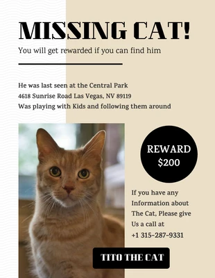 Free  Template: Missing Cat Flyer Template