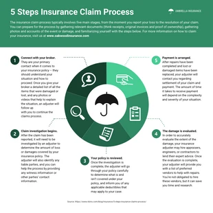 business  Template: Insurance Claim Process Infographic Template