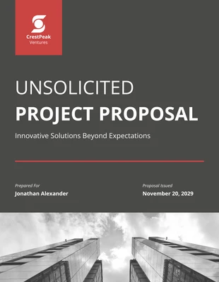 Free  Template: Unsolicited Project Proposal Template