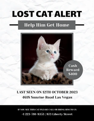 Free  Template: Porcelain Lost Cat Flyer Template