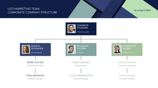 premium  Template: PowerPoint Org Chart Presentation Template