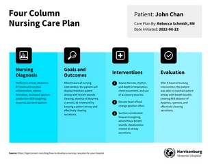 Free  Template: Four Column Nursing Care Plan Template