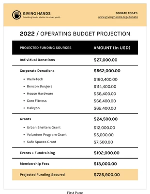 Free  Template: Sample Annual Nonprofit Budget Report Template