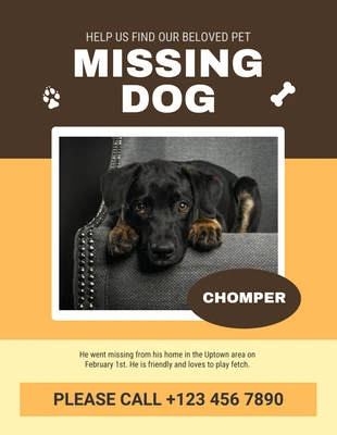 Free  Template: Saddle Cream Can Missing Pet Flyer Template