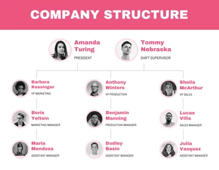 premium  Template: Corporate Organizational Chart Diagram Template