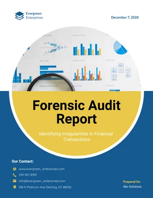 Free  Template: Forensic Audit Report Word Format Template