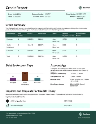 Free  Template: Credit Report Template