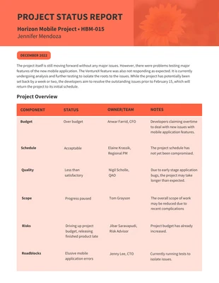 business  Template: Monthly Project Status Report Template