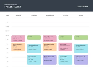 premium  Template: Detailed Weekly School Schedule