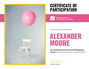 Free  Template: Photography Certificate of Participation Template