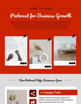 premium  Template: Pinterest Infographic Template