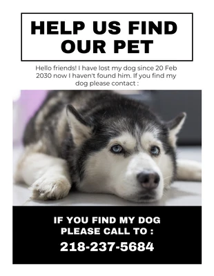 Free  Template: Lost Pet Flyer Template