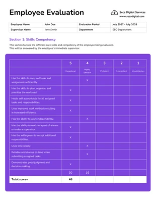 premium  Template: Project Evaluation Form For Employees Plan Template