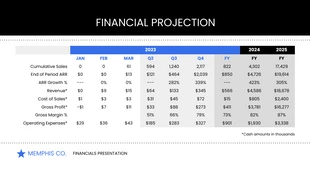 premium  Template: Financials Slide Pitch Deck Presentation Template