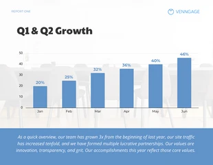 business  Template: Company Infographic Quarterly Report Template