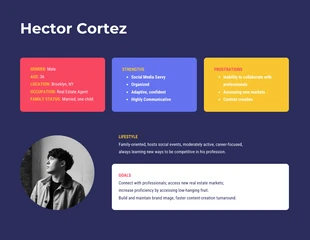 Free  Template: User Persona Guide Report Template