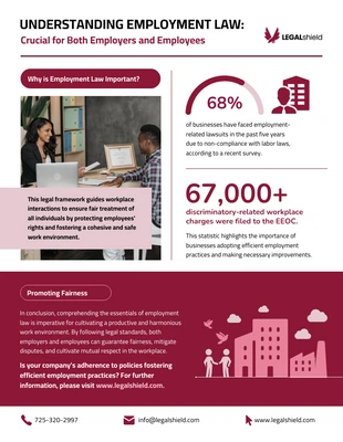 business  Template: Understanding Employment Law for Employers Infographic Template