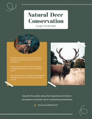 Free  Template: Natural Deer Conservation Flyer Template