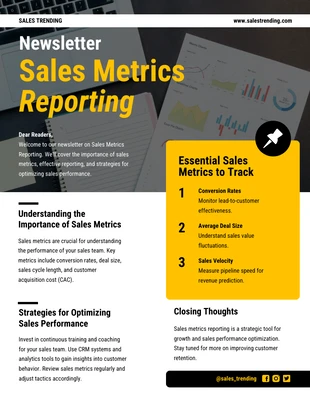 premium  Template: Sales Metrics Reporting Newsletter Template