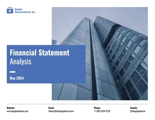 business  Template: Sample Financial Statement Analysis Template