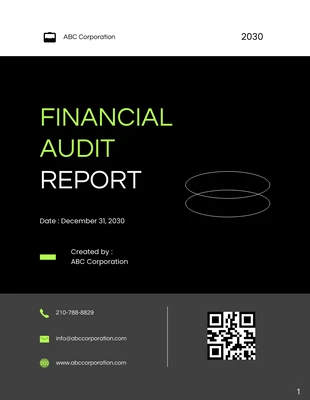 premium  Template: Financial Audit Report Template