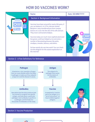 Free  Template: How Do Vaccines Work Flowchart Diagram Template