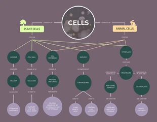 business  Template: Cells Biology Concept Map Template