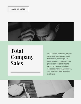 Free  Template: Sales Report Template