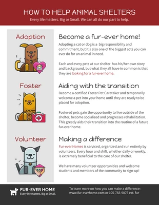 Free  Template: How To Help Animal Shelters Infographic Template