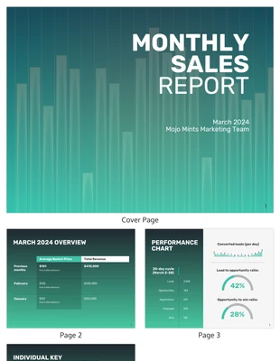 business accessible Template: Monthly Marketing Sales Report Template