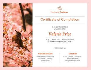 business  Template: Photography Course Certificate Template