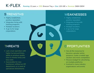 Company SWOT 