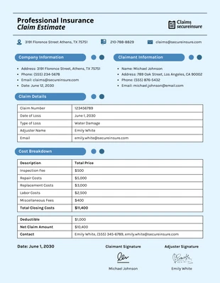 business  Template: Professional Insurance Claim Estimate Template